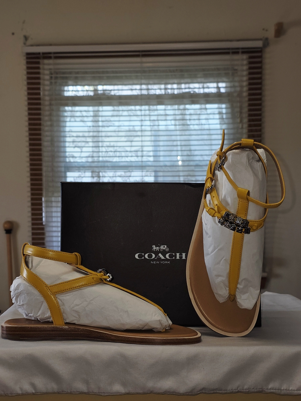 COACH Becky Semi Matte Calf Leather Sandals In Canary Size 7M